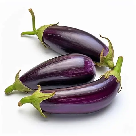 Brinjal